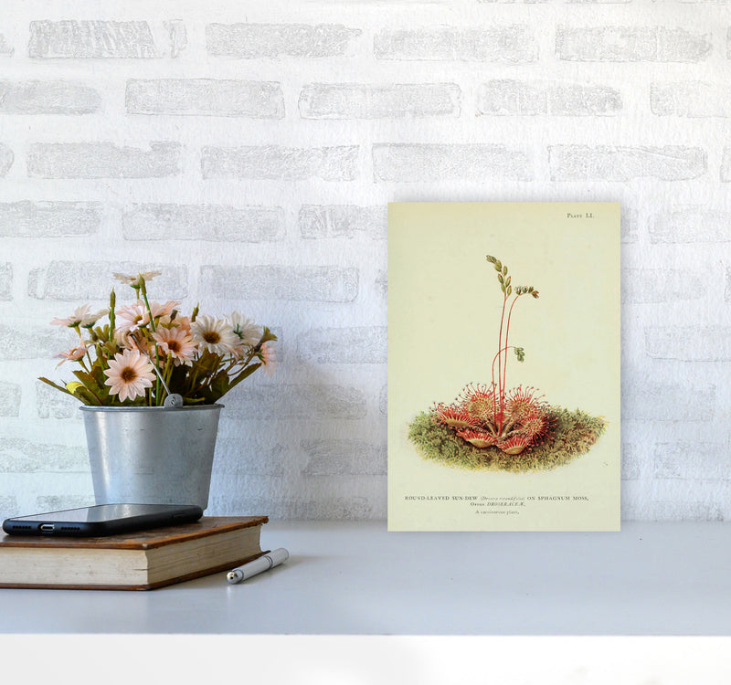Venus Fly Trap Art Print by Jason Stanley A4 Black Frame