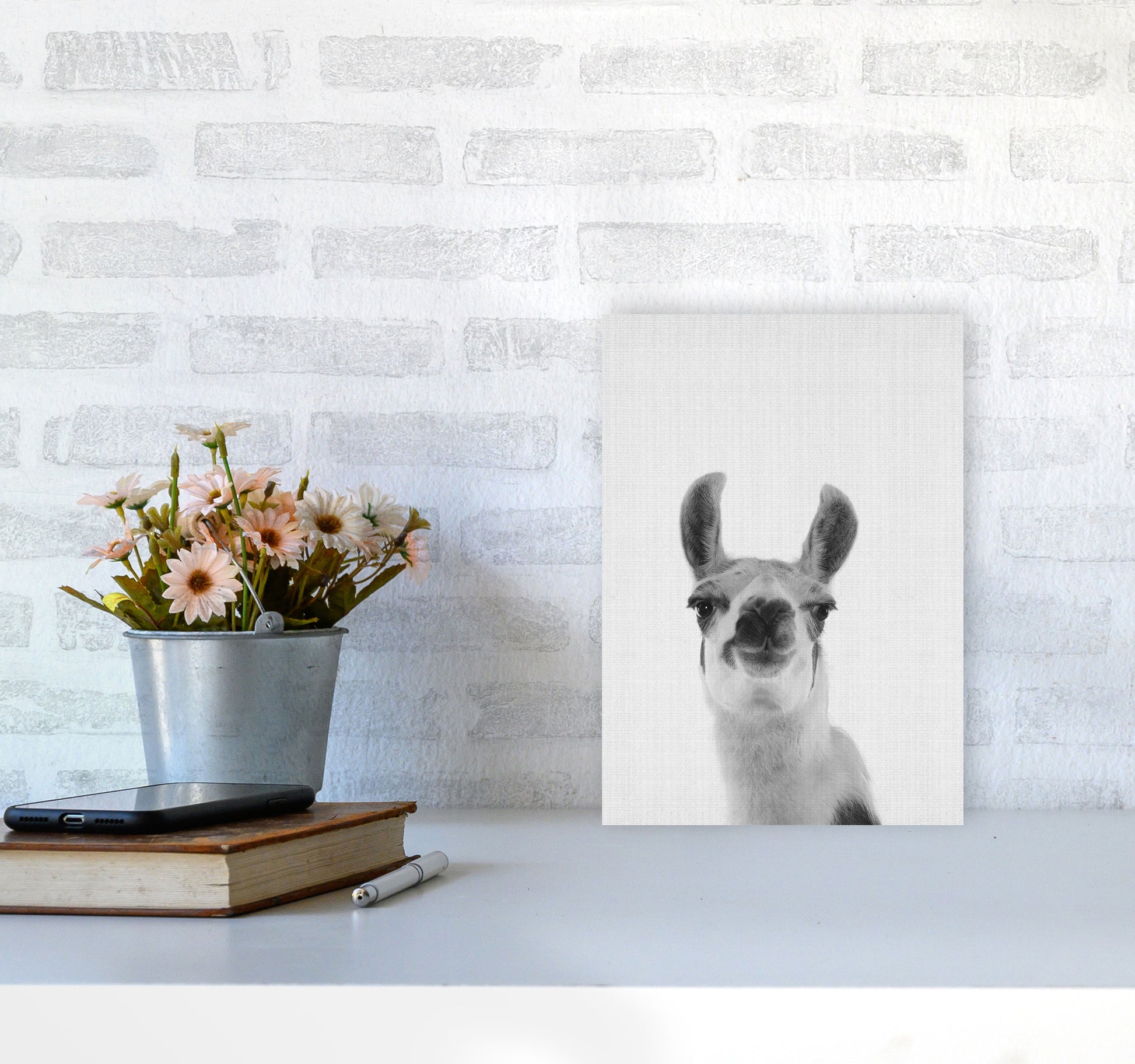Llama Art Print by Jason Stanley A4 Black Frame