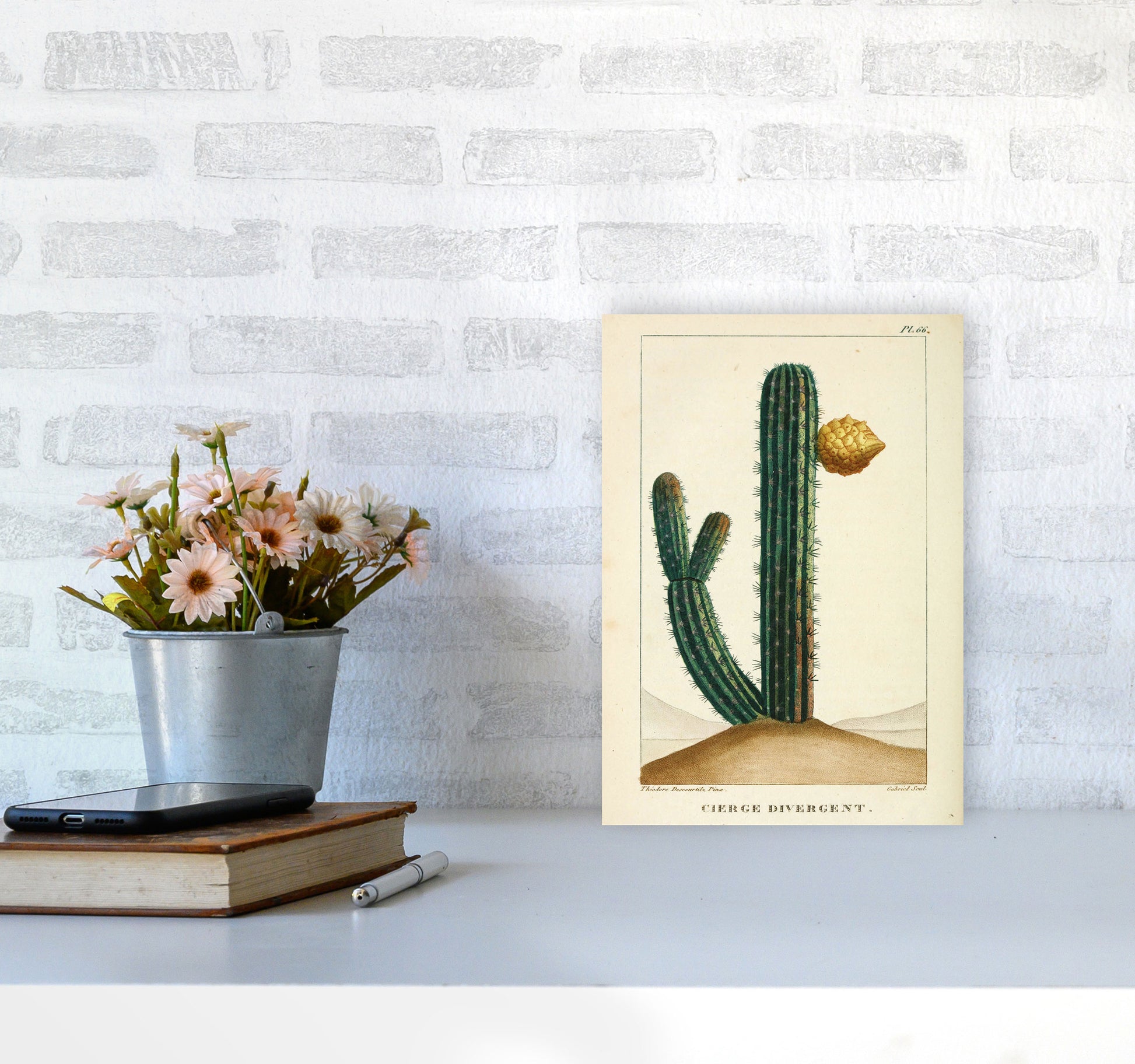 Vintage Cactus Art Print by Jason Stanley A4 Black Frame