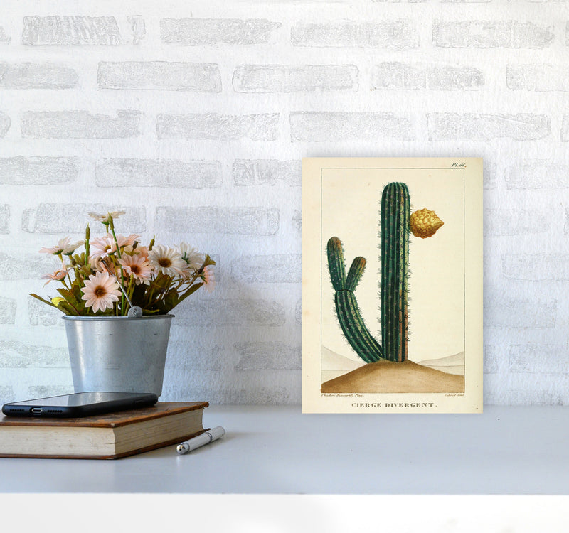 Vintage Cactus Art Print by Jason Stanley A4 Black Frame