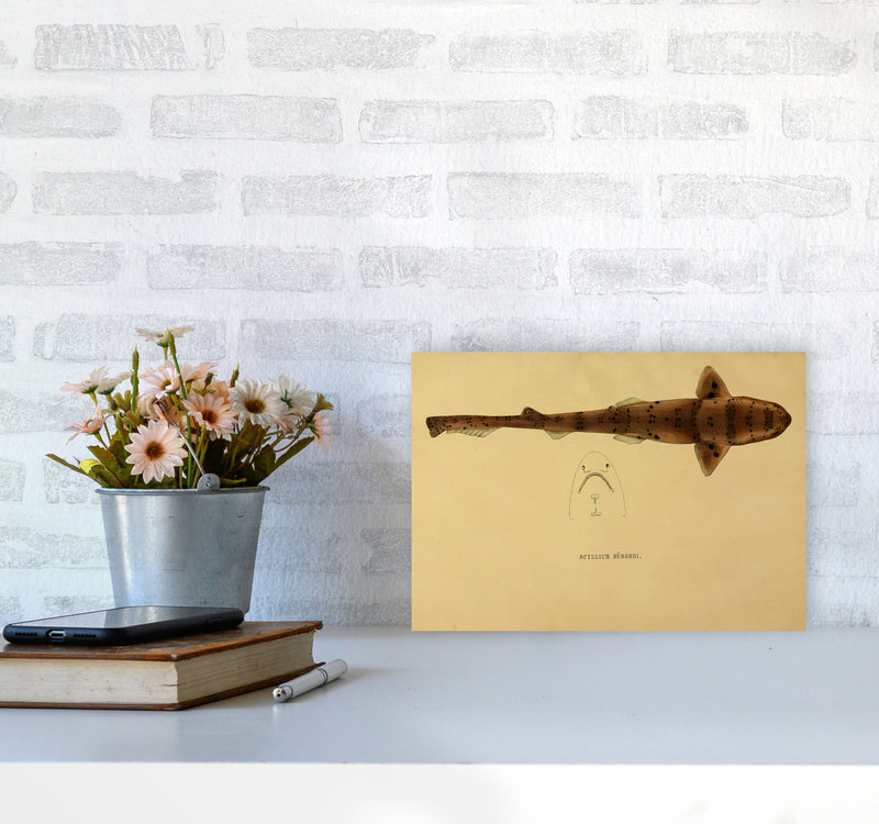 Shark Series 2 Art Print by Jason Stanley A4 Black Frame