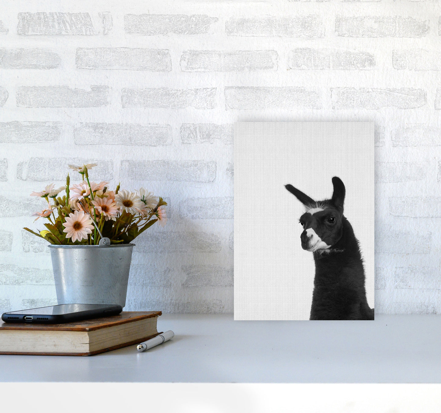 Llama #2 Art Print by Jason Stanley A4 Black Frame