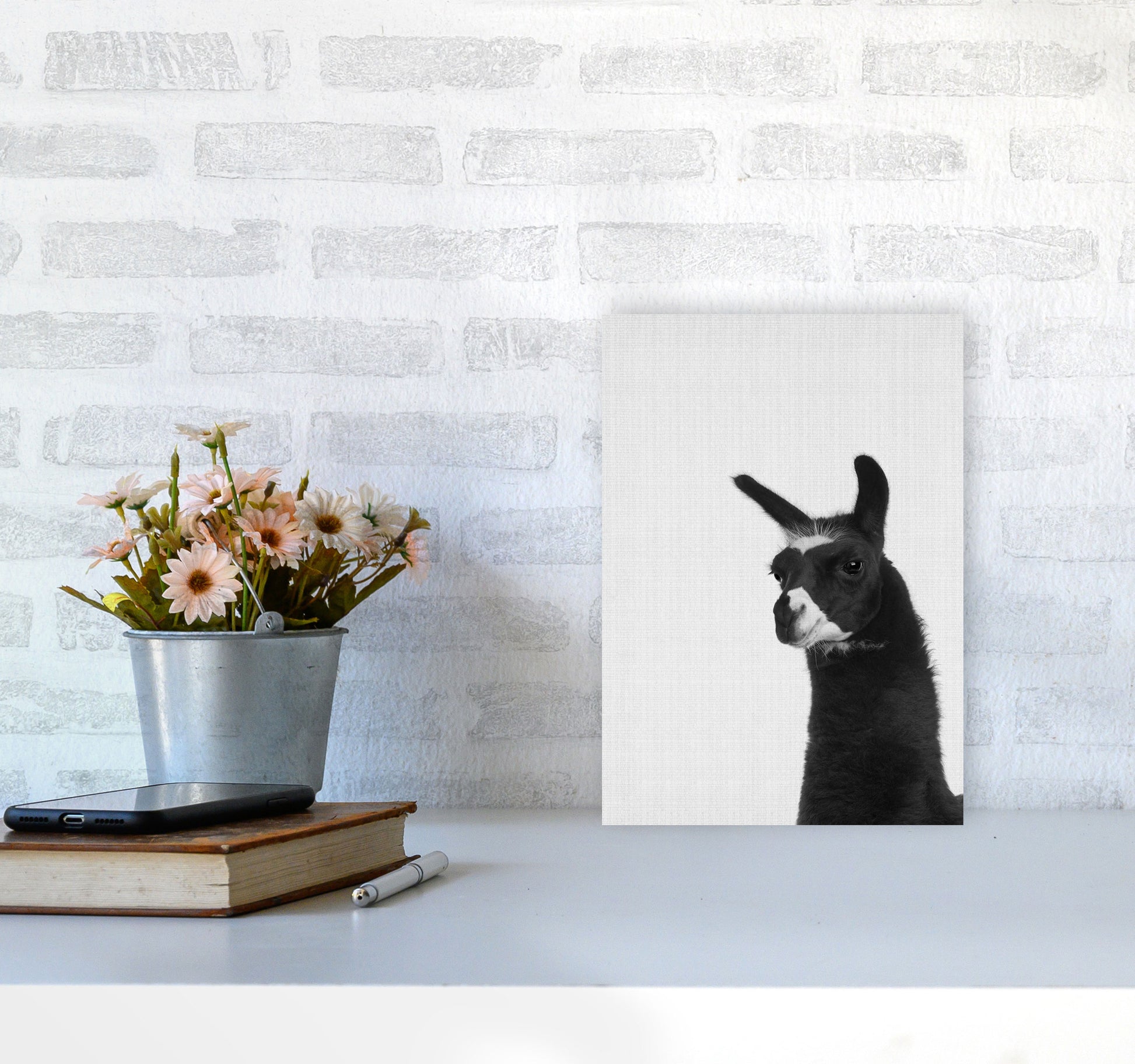 Llama #2 Art Print by Jason Stanley A4 Black Frame
