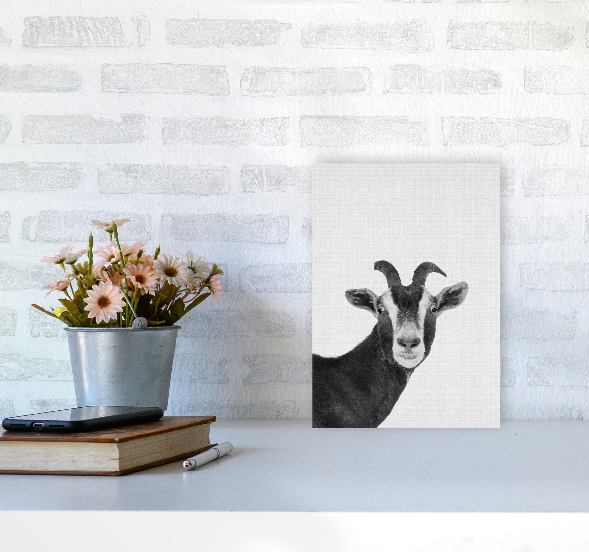 Surprised Goat Art Print by Jason Stanley A4 Black Frame
