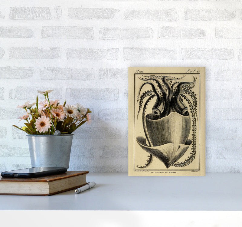 Vintage Squid Art Print by Jason Stanley A4 Black Frame