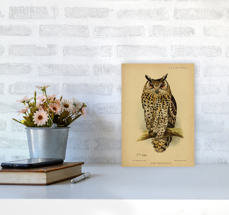 Vintage Owl Art Print by Jason Stanley A4 Black Frame