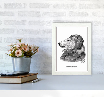 The Poler Bear Pilot Art Print by Jason Stanley A4 Oak Frame