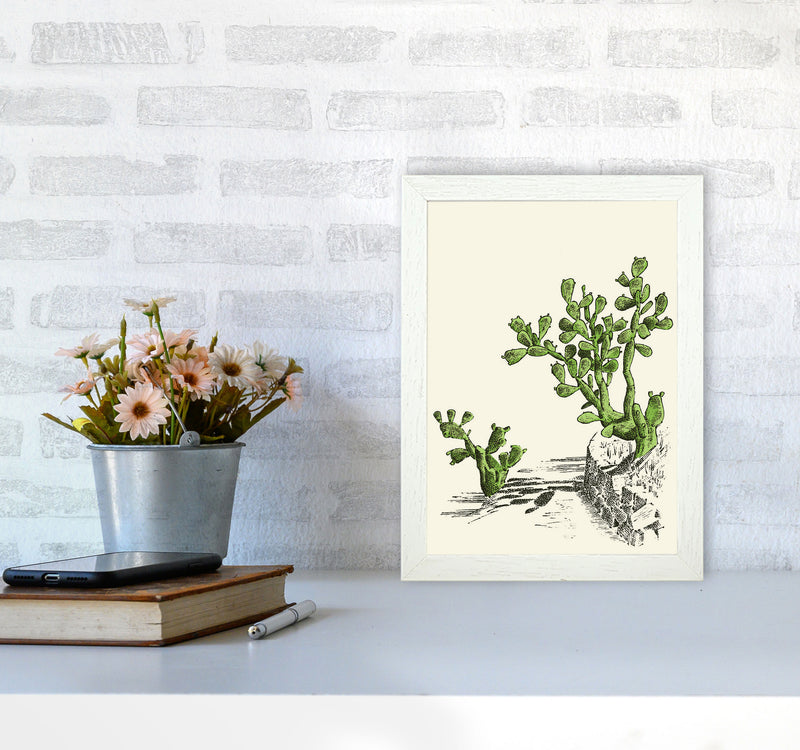 Prickly Pear Cactus Art Print by Jason Stanley A4 Oak Frame