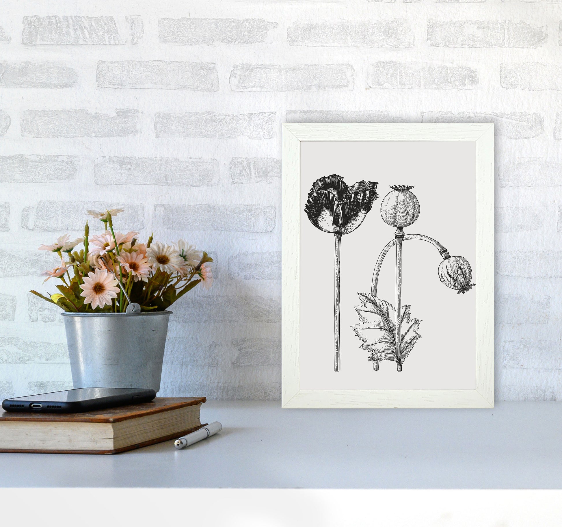 Vintage Poppy Plant Art Print by Jason Stanley A4 Oak Frame