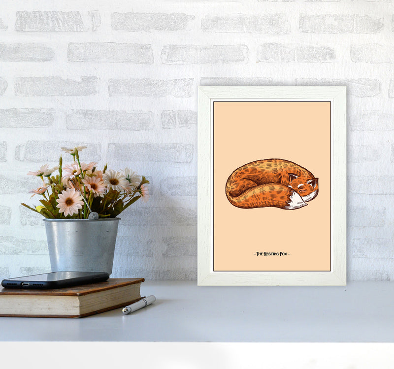 The Resting Fox Art Print by Jason Stanley A4 Oak Frame