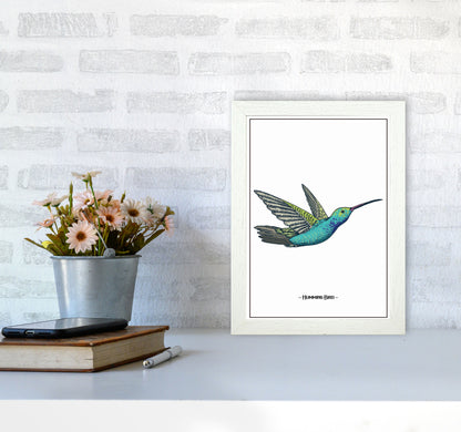 Humming Bird Art Print by Jason Stanley A4 Oak Frame