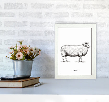 Sheep Art Print by Jason Stanley A4 Oak Frame