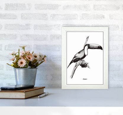 Tucan Art Print by Jason Stanley A4 Oak Frame