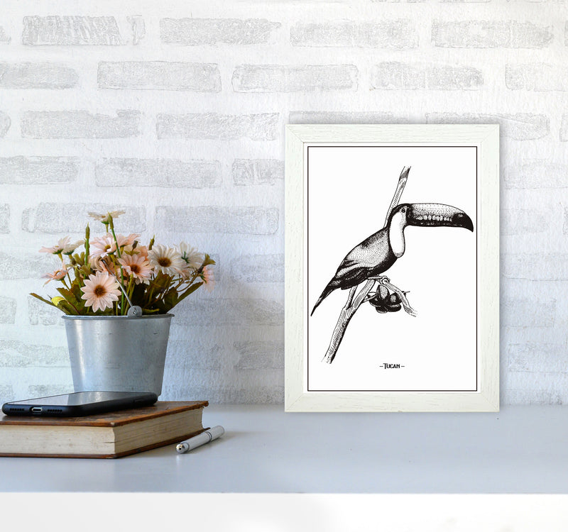 Tucan Art Print by Jason Stanley A4 Oak Frame