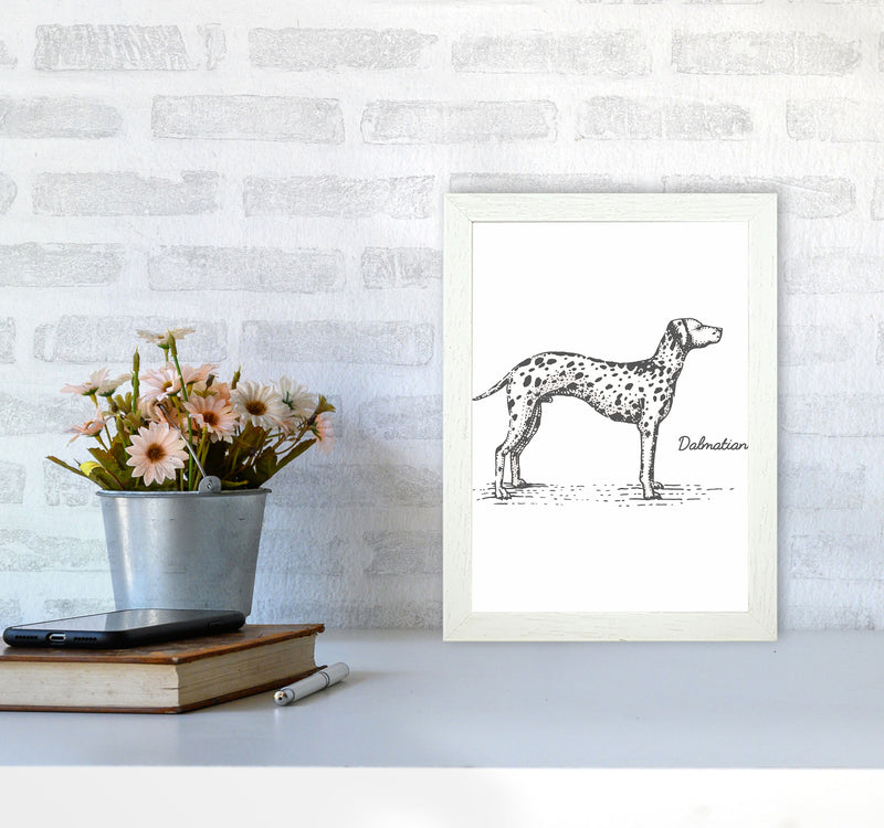 Dalmation Art Print by Jason Stanley A4 Oak Frame