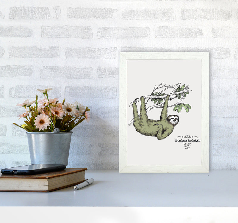 Sloth Art Print by Jason Stanley A4 Oak Frame