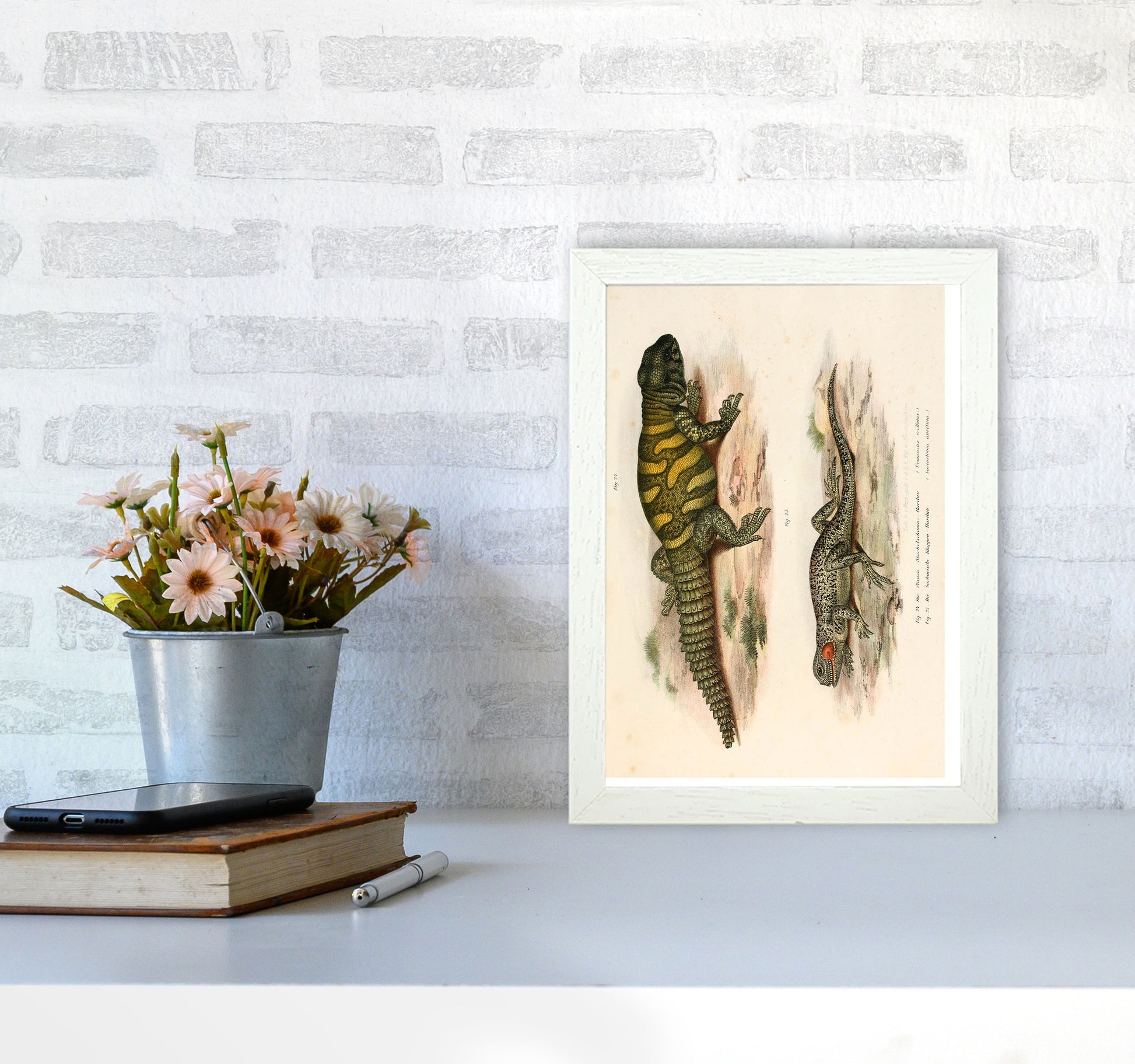 Vintage Lizard Illustration Art Print by Jason Stanley A4 Oak Frame