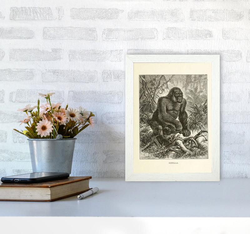 The Other King Of The Jungle Art Print by Jason Stanley A4 Oak Frame