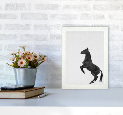 The Dark Horse Rides At Night #2 Art Print by Jason Stanley A4 Oak Frame