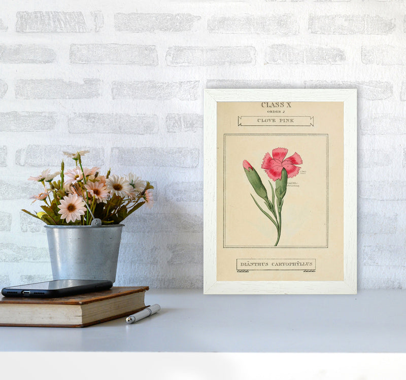 Vintage Flower Series 4 Art Print by Jason Stanley A4 Oak Frame