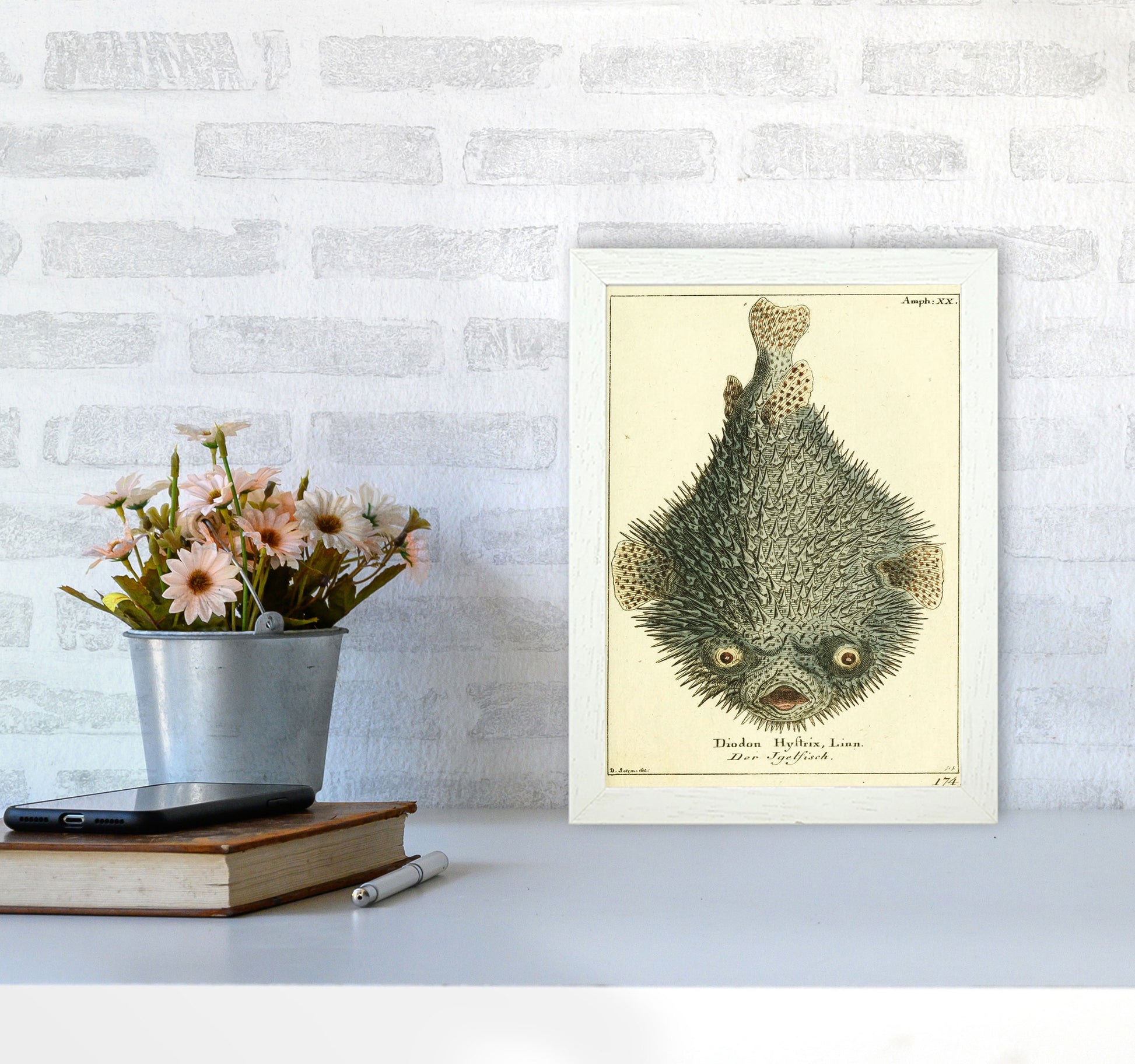 Vintage Japanese Fish Art Print by Jason Stanley A4 Oak Frame