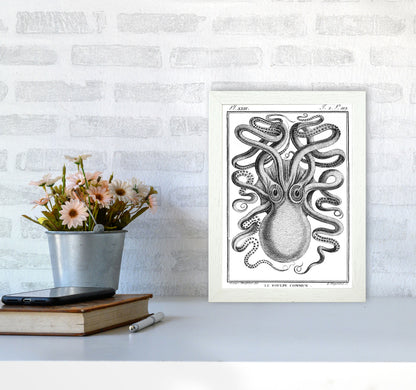 White Vintage Octopus Art Print by Jason Stanley A4 Oak Frame