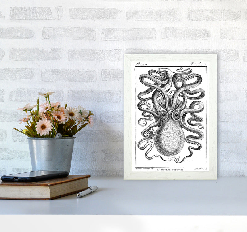 White Vintage Octopus Art Print by Jason Stanley A4 Oak Frame