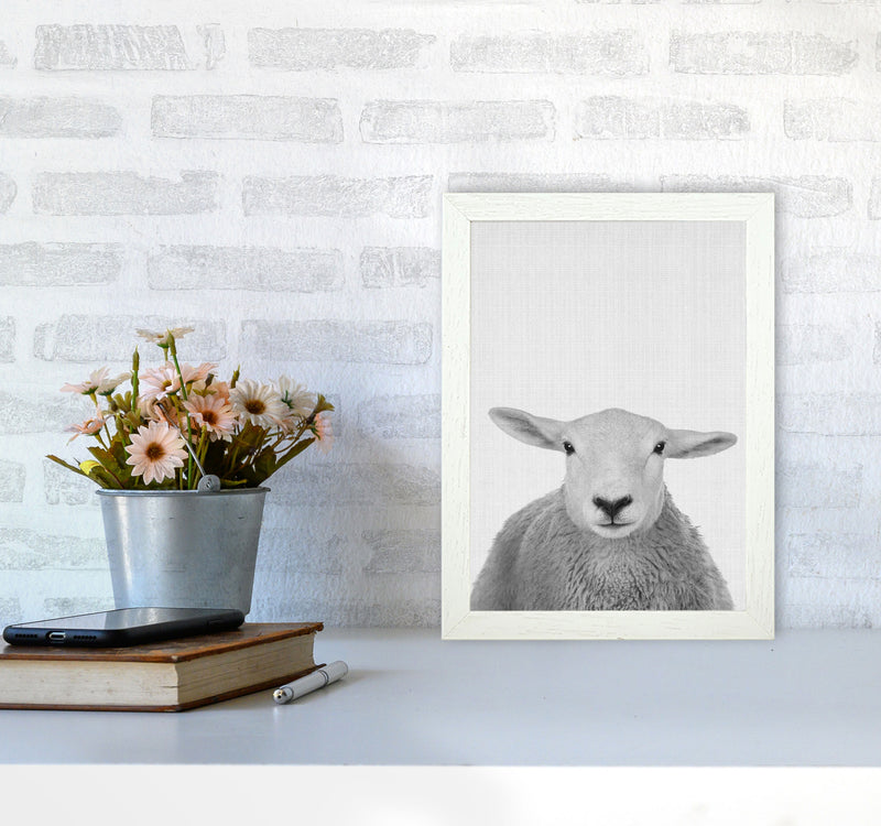 Trust This Wise Sheep Art Print by Jason Stanley A4 Oak Frame