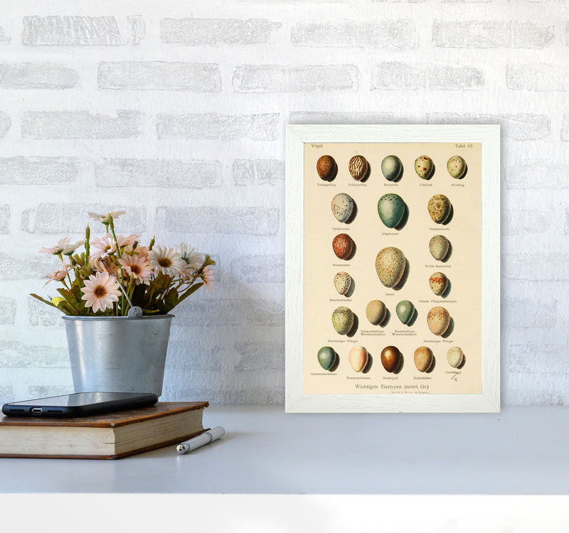Vintage Set Of Eggs Art Print by Jason Stanley A4 Oak Frame