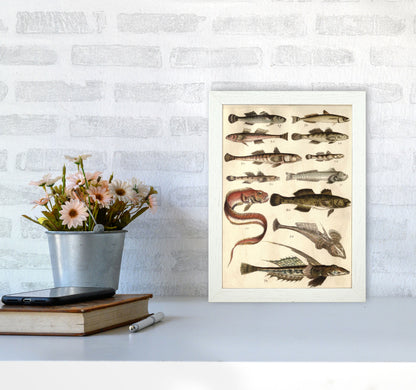 Creatures Of The Sea Art Print by Jason Stanley A4 Oak Frame