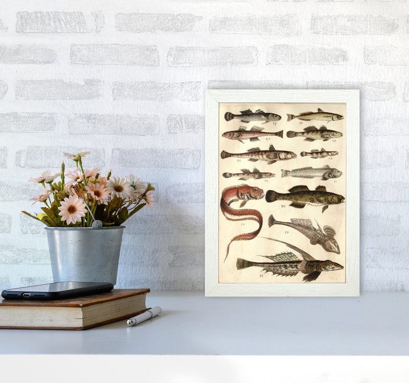 Creatures Of The Sea Art Print by Jason Stanley A4 Oak Frame