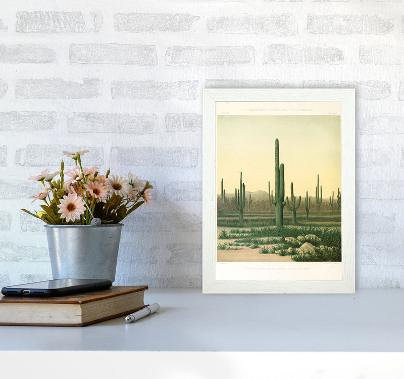 Vintage Desert Cactus Art Print by Jason Stanley A4 Oak Frame
