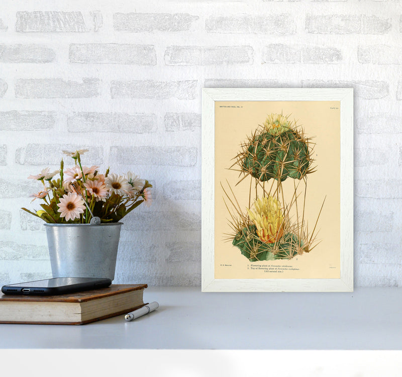 Cactus Series 10 Art Print by Jason Stanley A4 Oak Frame