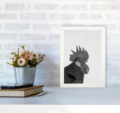 Cock A Doodle Doo Art Print by Jason Stanley A4 Oak Frame