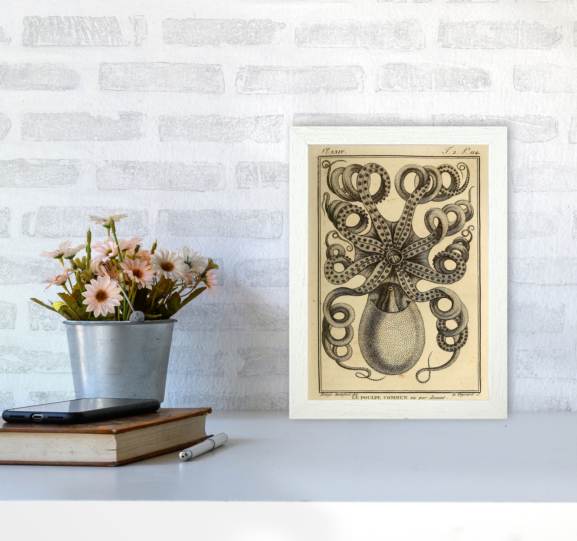 Vintage Octopus Art Print by Jason Stanley A4 Oak Frame