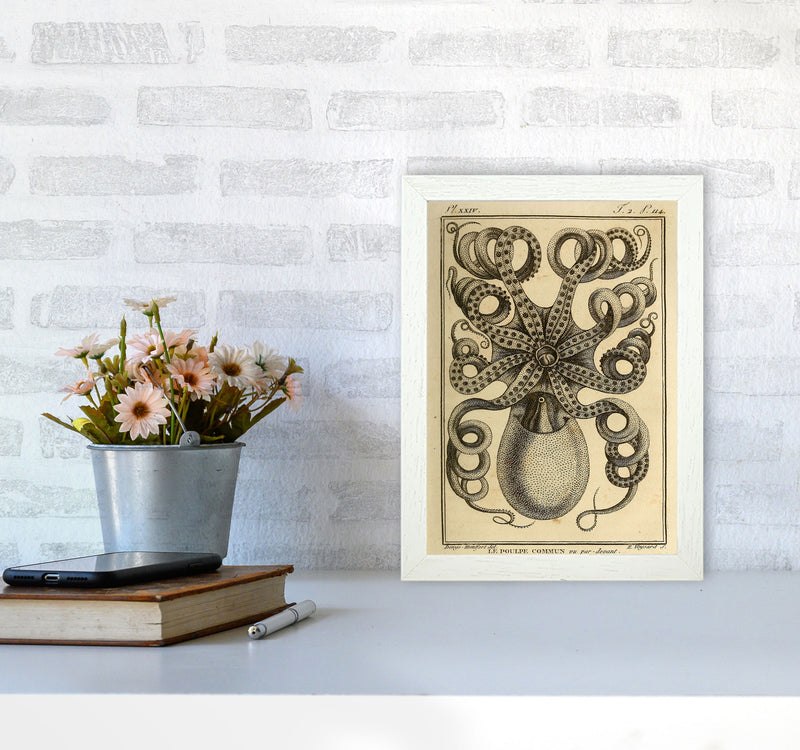 Vintage Octopus Art Print by Jason Stanley A4 Oak Frame