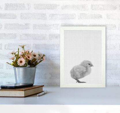 2X3_Chick Art Print by Jason Stanley A4 Oak Frame