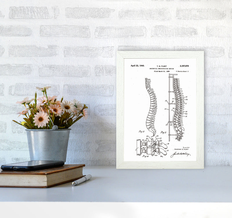 Anatomical Spine Display Patent Art Print by Jason Stanley A4 Oak Frame