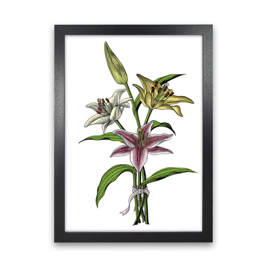 Vintage Lilly Illustration Art Print by Jason Stanley Black Grain