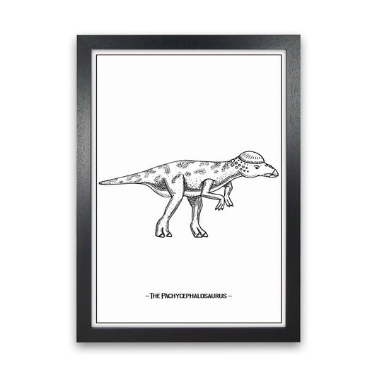 The Pachycephalosaurus Art Print by Jason Stanley Black Grain