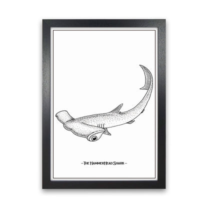 The Hammerhead Shark Art Print by Jason Stanley Black Grain