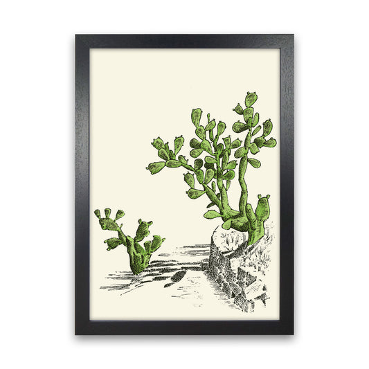 Prickly Pear Cactus Art Print by Jason Stanley Black Grain