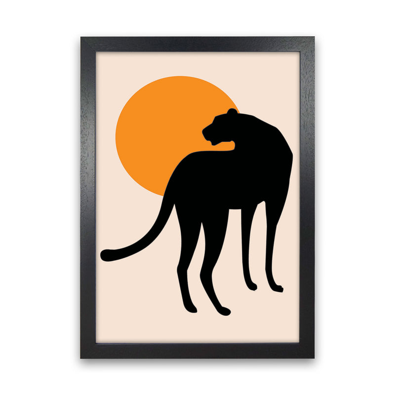 Leopard Sun Poster Art Print by Jason Stanley Black Grain