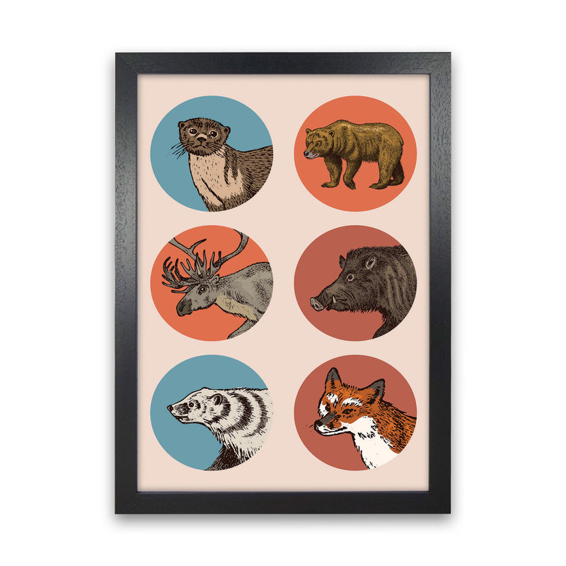 Animal Circles II Art Print by Jason Stanley Black Grain