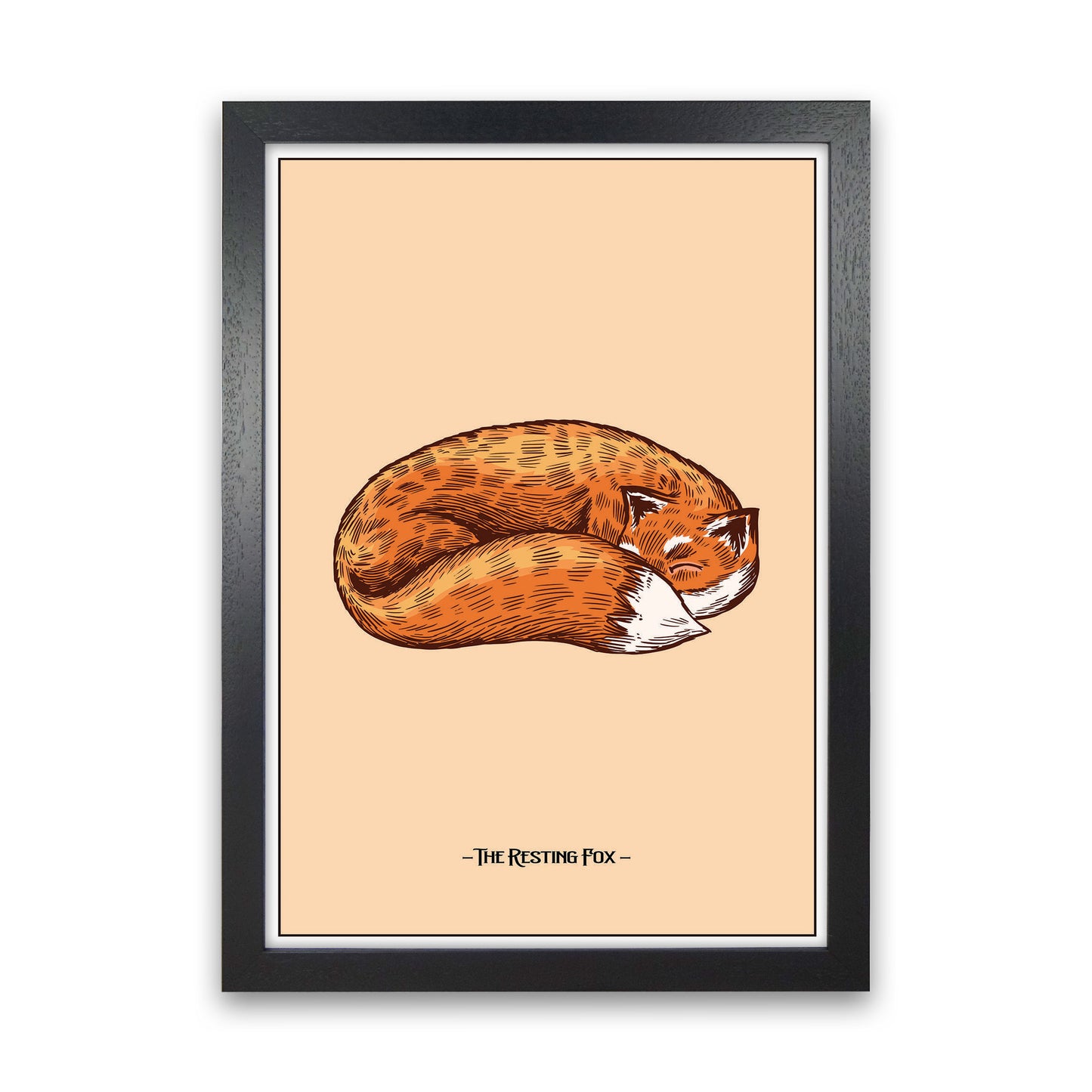The Resting Fox Art Print by Jason Stanley Black Grain