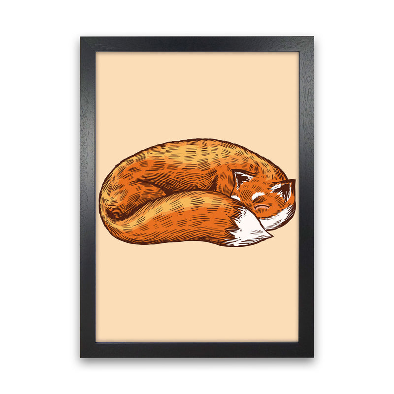 The Sleeping Fox Art Print by Jason Stanley Black Grain