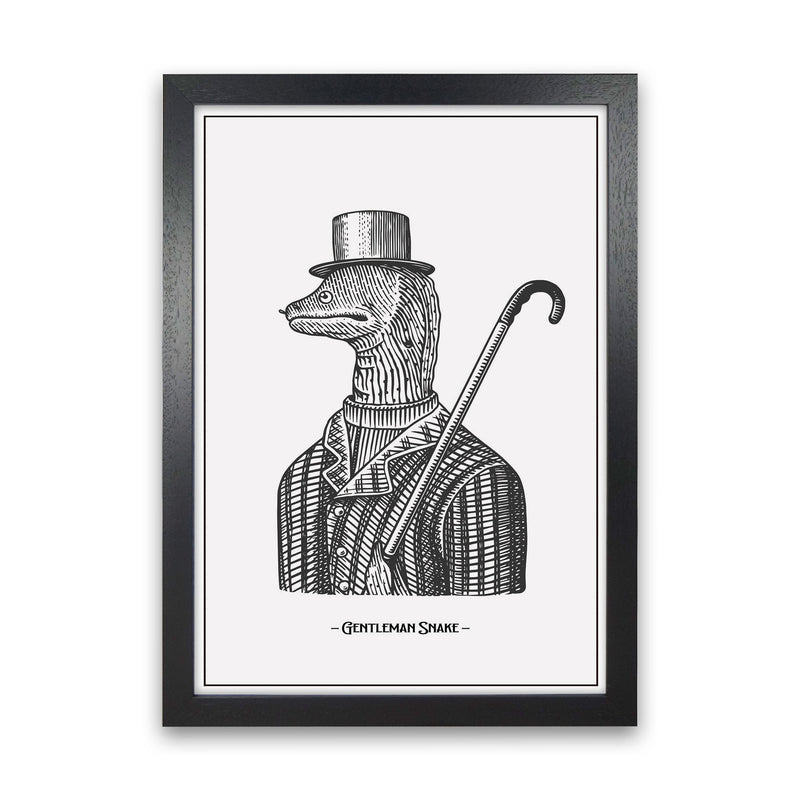 Gentlemen Snake Art Print by Jason Stanley Black Grain
