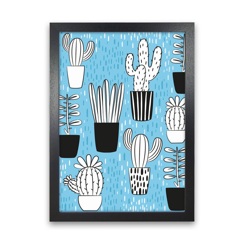 Cactus Vibes