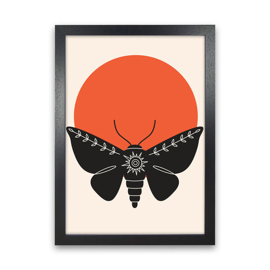 Sunshine Moth Art Print by Jason Stanley Black Grain