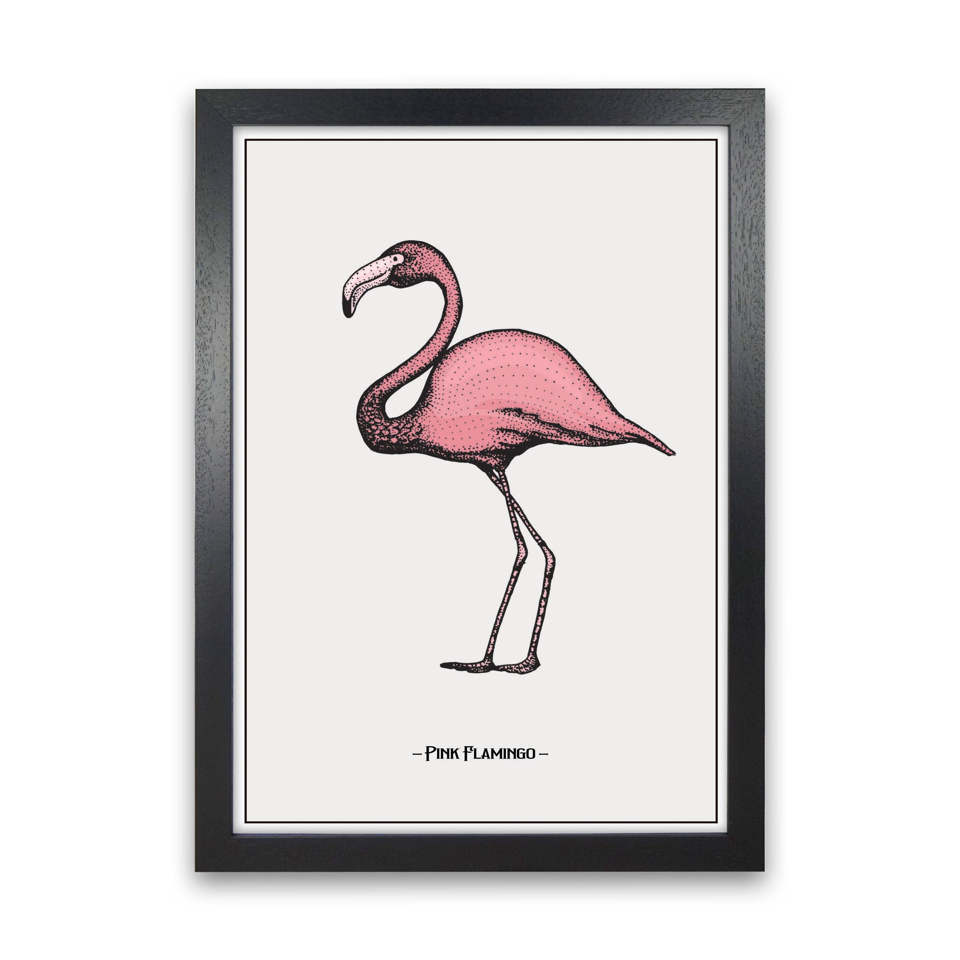 Pink Flamingo Art Print by Jason Stanley Black Grain